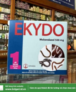 Ekydo 1