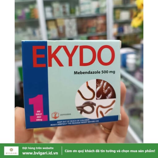 Ekydo 2 1