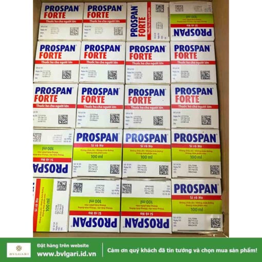 Prospan 2