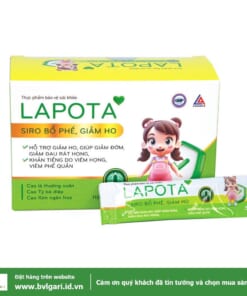 Lapota a1