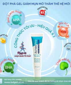 acnes pro 02