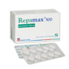 repamax 500 01