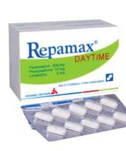 repamax daytime 1